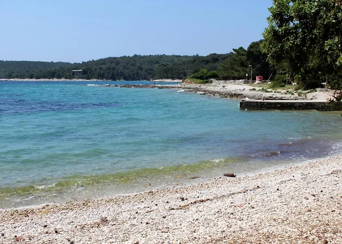 Seaside Holiday House Artatore, Losinj - 7937 Holiday home Cunski
