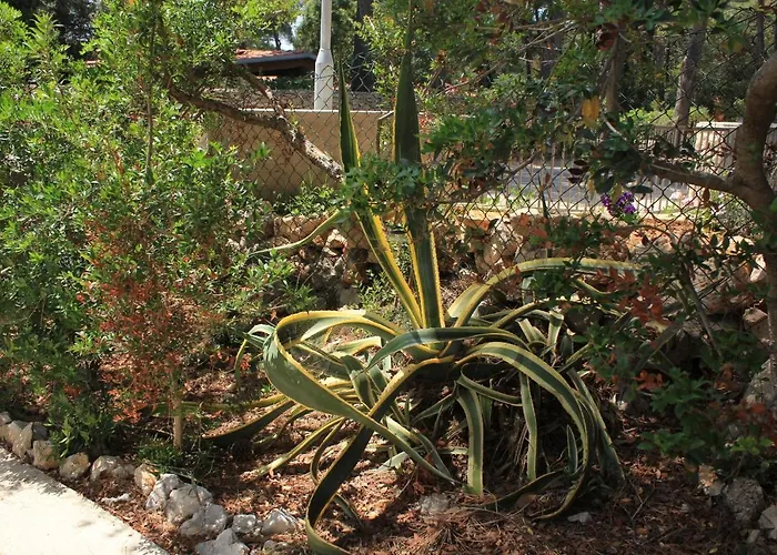 Seaside Holiday House Artatore, Losinj - 7937 Holiday home