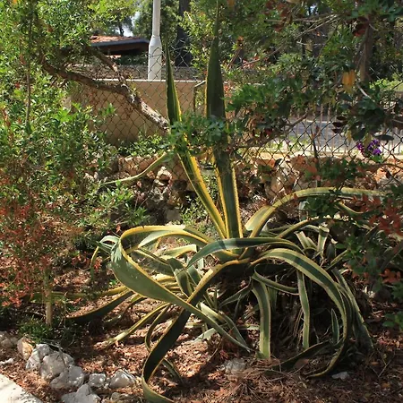 Seaside House Artatore, Losinj - 7937 度假居